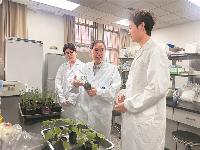 康振生（中）指导学生开展科研。 记者 王禹涵摄